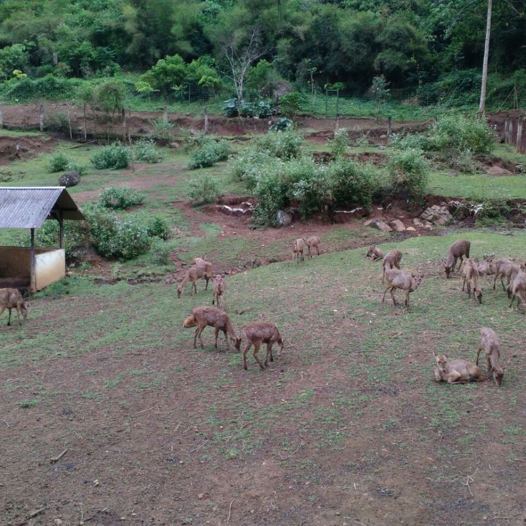 tahura bandung