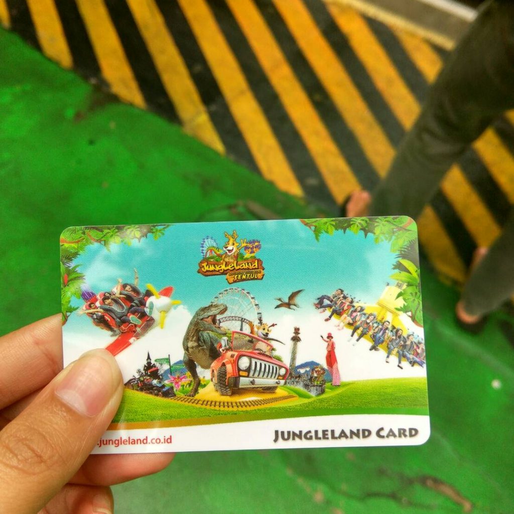 jungleland