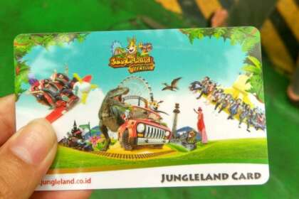 jungleland