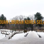 musim dingin di korea