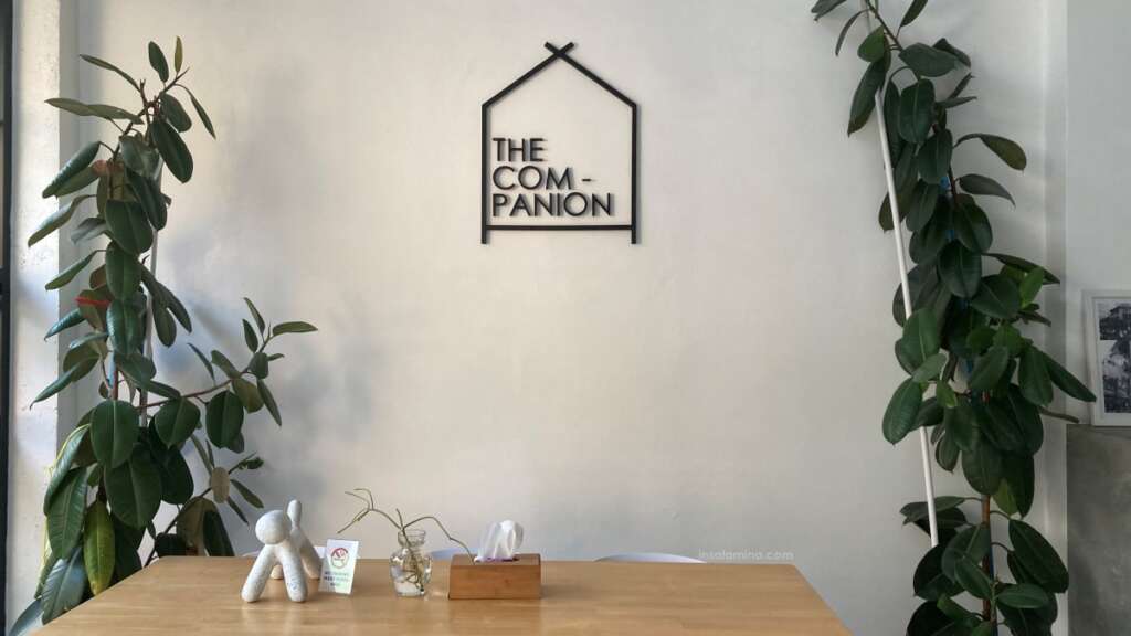 hostel the companion bangkok